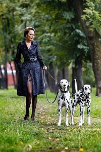 Все фото Виктория - девушки по вызову